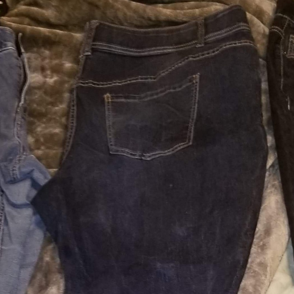 Lane Bryant t3 jeans